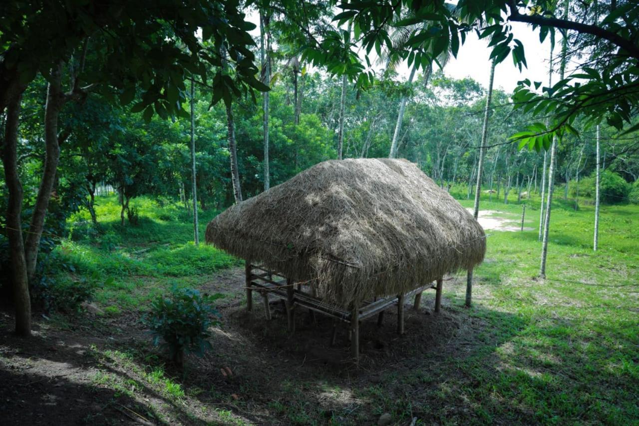 Royal Wooden Villa Mananthavady Exterior photo